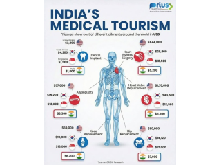 top-healthcare-seo-agency-for-pharma-brands-prius-healthcare-small-0