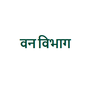 forest-van-vibhag-big-0