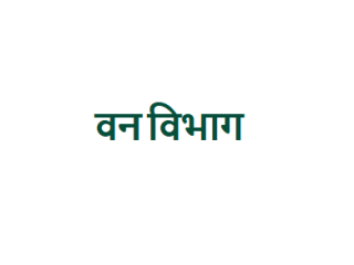 forest-van-vibhag-small-0