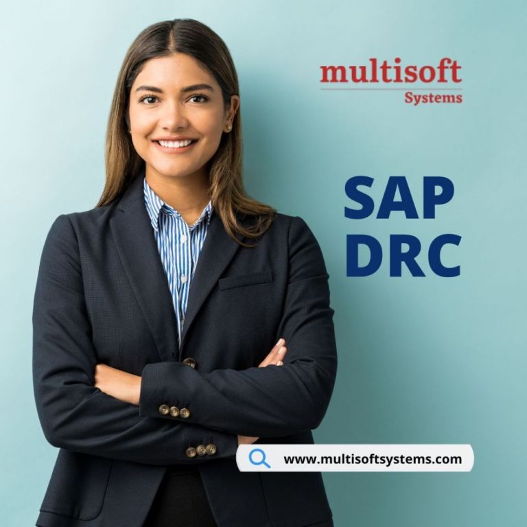 sap-drc-training-program-get-certified-from-top-institute-noida-big-0