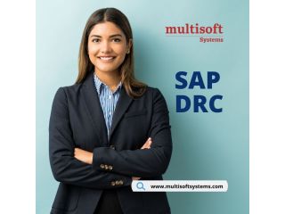 sap-drc-training-program-get-certified-from-top-institute-noida-small-0