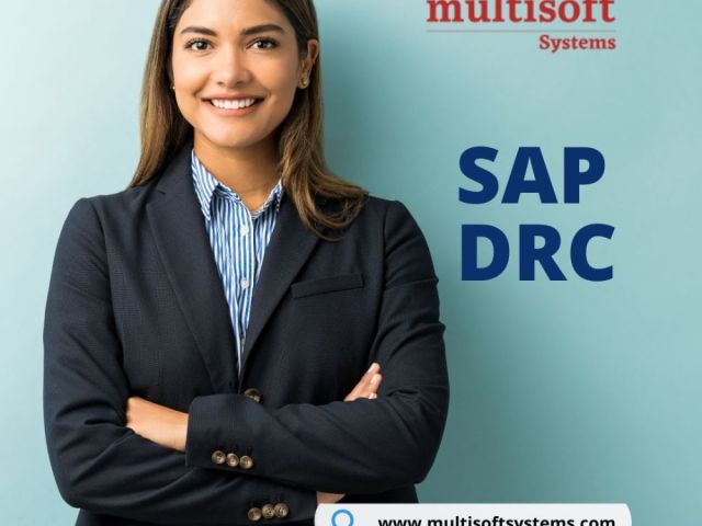 sap-drc-training-program-get-certified-from-top-institute-noida