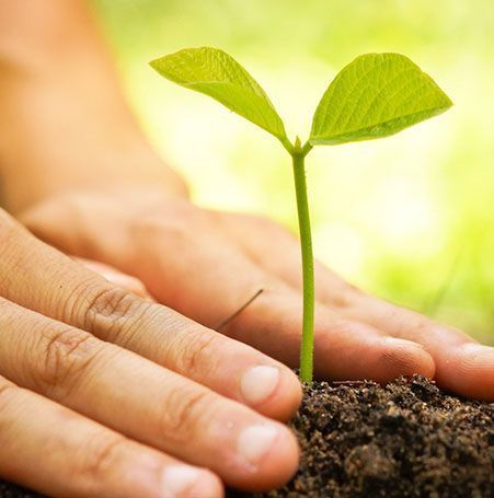 trusted-vermicompost-manufacturers-india-for-natural-farming-big-0