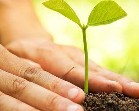 trusted-vermicompost-manufacturers-india-for-natural-farming