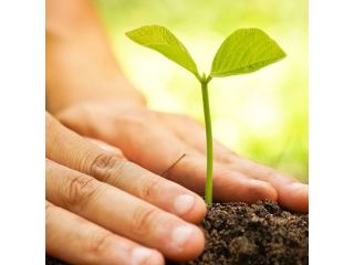 trusted-vermicompost-manufacturers-india-for-natural-farming-small-0