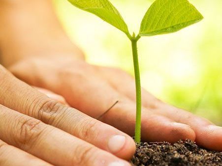 trusted-vermicompost-manufacturers-india-for-natural-farming