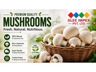 trusted-mushroom-export-partner-from-india-small-0