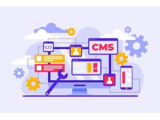 looking-for-trusted-wordpress-cms-development-services-online-small-0