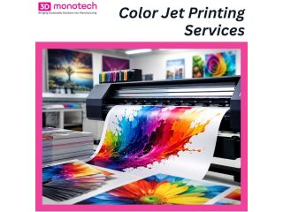 affordable-color-jet-printing-services-by-3d-monotech-small-0
