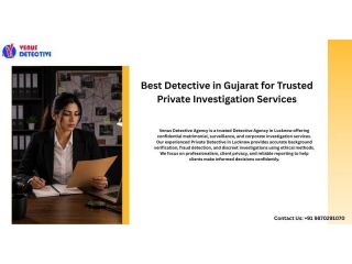 best-detective-in-gujarat-for-corporate-fraud-investigations-small-0