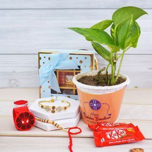 send-rakhi-gifts-to-india-with-fast-online-delivery-big-0
