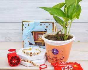 send-rakhi-gifts-to-india-with-fast-online-delivery