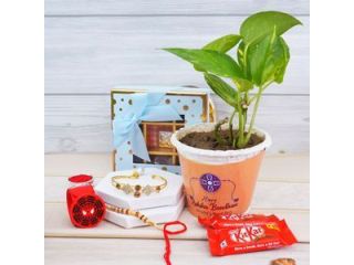 send-rakhi-gifts-to-india-with-fast-online-delivery-small-0