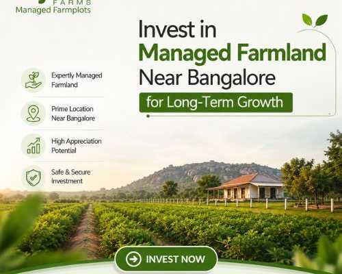 top-managed-farmland-near-bangalore-for-long-term-growth