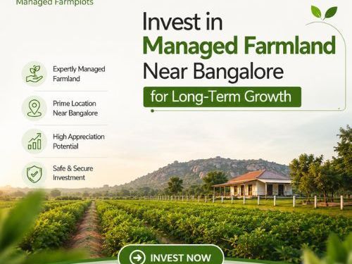 top-managed-farmland-near-bangalore-for-long-term-growth