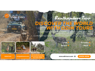 explore-the-wild-with-tiger-safari-central-india-small-0