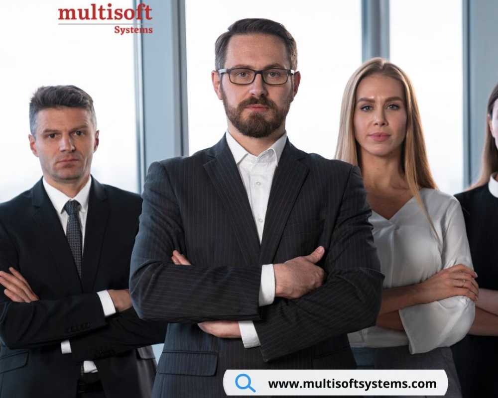 best-sap-vertex-course-in-noida-for-professionals