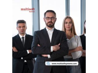 best-sap-vertex-course-in-noida-for-professionals-small-0