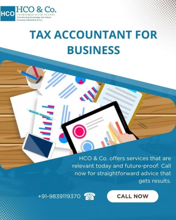 professional-tax-accountant-for-business-success-big-0