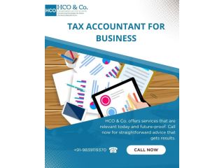 professional-tax-accountant-for-business-success-small-0