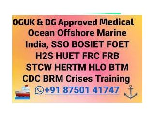 dg-shipping-india-approved-frb-hlo-training-in-chennai-india-small-0