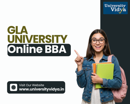 entrepreneurial-ambition-gla-university-online-bba-big-0