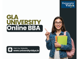 entrepreneurial-ambition-gla-university-online-bba-small-0