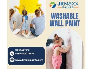 premium-washable-wall-paint-for-lasting-beauty-small-0