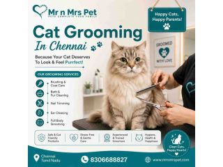 cat-grooming-in-chennai-small-0