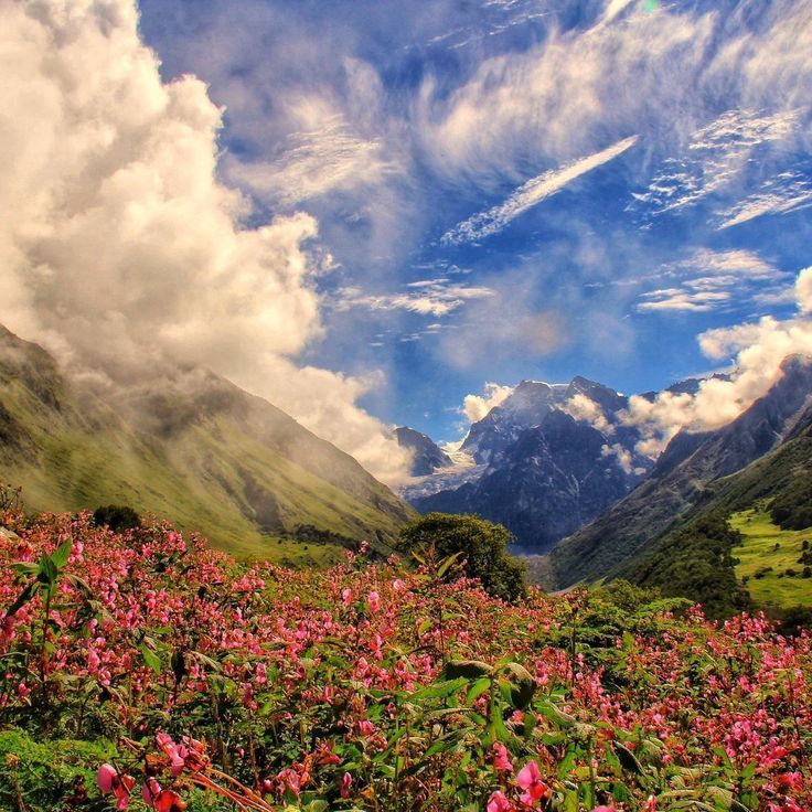 the-himalayan-paradise-a-guide-to-the-valley-of-flowers-big-0