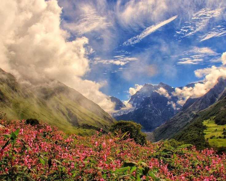 the-himalayan-paradise-a-guide-to-the-valley-of-flowers