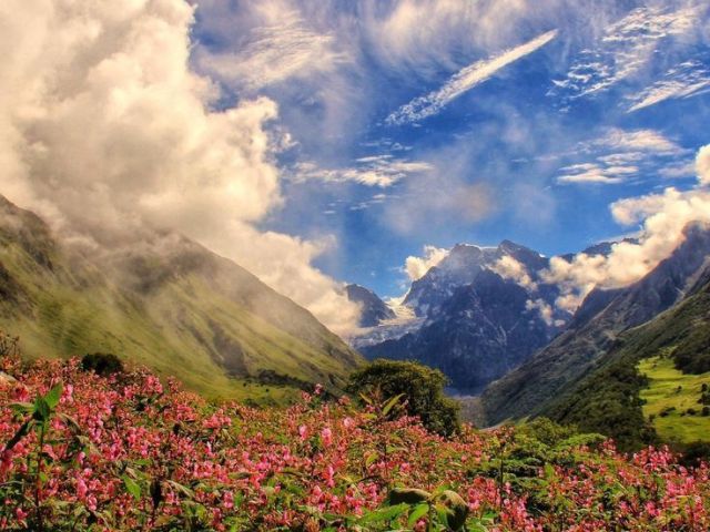 the-himalayan-paradise-a-guide-to-the-valley-of-flowers