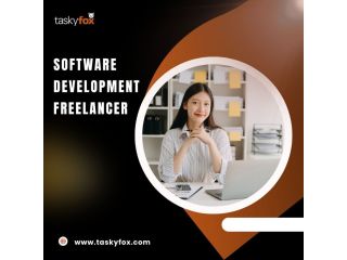 software-development-freelancer-small-0