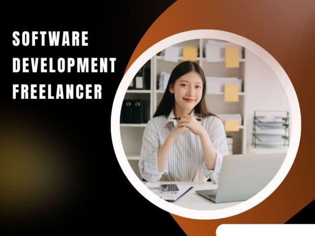 software-development-freelancer