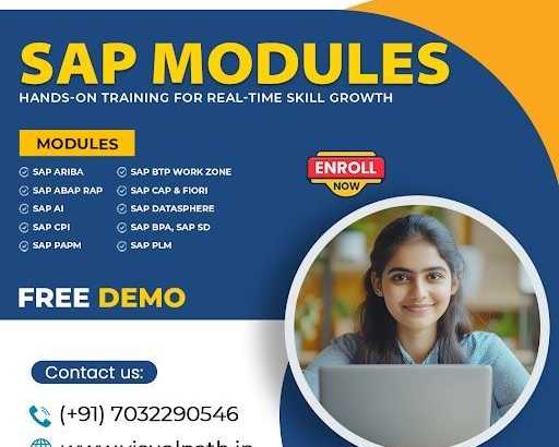 master-sap-skills-and-build-a-high-growth-it-career