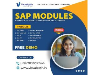 master-sap-skills-and-build-a-high-growth-it-career-small-0