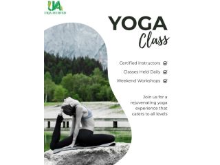 best-yoga-center-in-delhi-for-holistic-health-wellness-small-0