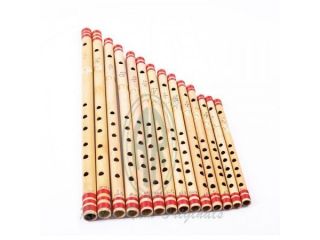 wind-instruments-store-in-delhi-small-0