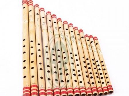 wind-instruments-store-in-delhi