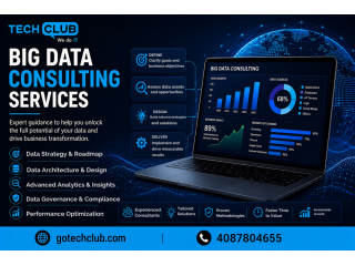 techclub-inc-big-data-solutions-provider-for-modern-businesses-small-0