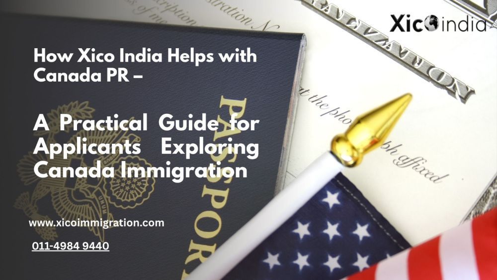 trusted-immigration-support-in-delhi-big-0