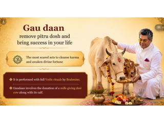 gaudaan-at-krishnayan-a-sacred-path-of-dharma-blessing-small-0