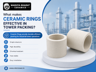 durable-ceramic-rings-supplier-in-mandsaur-small-0