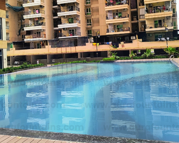 swimming-pool-dealers
