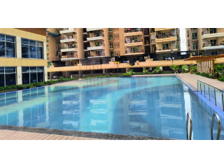 swimming-pool-dealers-small-0