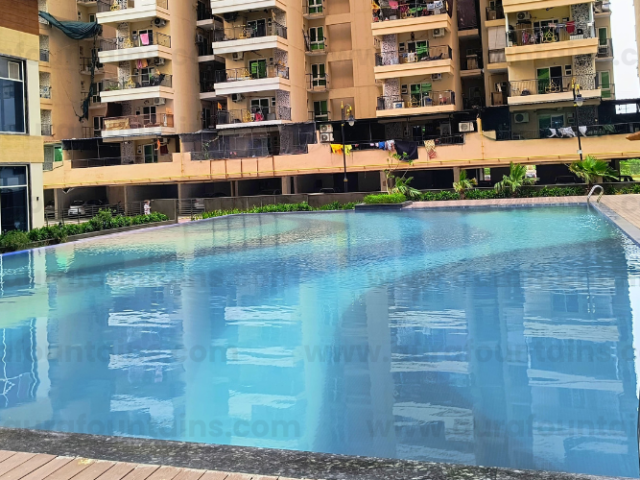swimming-pool-dealers