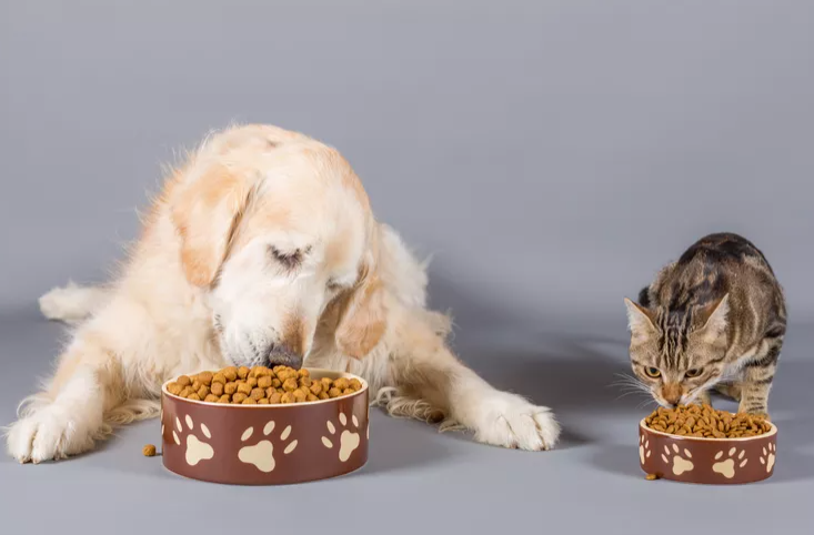 pet-grooming-products-in-bangalore-the-pet-project-big-0