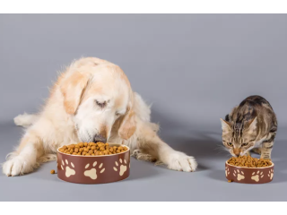 pet-grooming-products-in-bangalore-the-pet-project-small-0