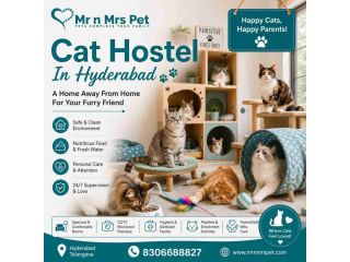 cat-hostel-in-hyderabad-small-0