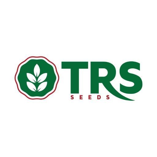 hybrid-seeds-in-agriculture-for-modern-farming-development-big-0